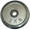 Spartan Svarmuo Diskinis Chromuotas Griffams Pratimų KUBISPORT 5kg 25 mm