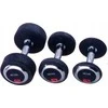 Spartan Gumuotas hantelis 10 kg SPARTAN