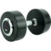 Spartan Gumuotas hantelis 20 kg SPARTAN