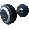 Spartan Gumuoti hanteliai 1x5 kg