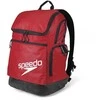 Speedo Teamsterz Sportinė kuprinė Teamster 2.0 Rucksack (8-128120004)
