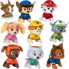 Spin Master Paw Patrol mini mišinio talismanas Spin Master