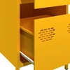 indauja garstyčių geltona 35x39x73,5cm šaltai valcuotas plienas