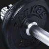 Hanteliai Spokey  2 x 10 kg