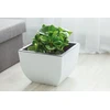 Form-Plastic Plastikinis vazonas Muna 3300-011+059, Ø30 cm
