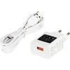 Blow QC LB-17 LED indukcinė stalinė lempa