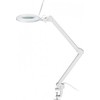 Goobay LED stalinė lempa su spaustuku, 10 W