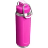 Stanley Buteliukas termiczna Classic Wellspring Violet Blossom 0.71 l