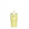Stanley Gesinimo priemonė H2.O FlowState™ 0,6 l pomelo