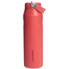 Stanley The IceFlow Bottle Flip Straw 2.0 0 71L koralu sarkanoranza
