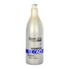 Šampūnas šviesiems plaukams Stapiz Sleek Line Blond 1000ml