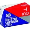 Staples S100 sidabriniai smeigtukai 100 vnt.