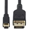 VGA laidas Startech DP14MDPMM10F Juoda 3 m