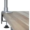 StarTech Darbastalio laikiklis monitoriui iki 49 "(ARMPIVOTB2)