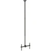 StarTech FPCEILPTBLP 32 "lubų laikiklis - 75 '