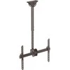 StarTech FPCEILPTBSP 32 "" lubų laikiklis - 75 "