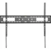 StarTech Sienos laikiklis FPWFXB1 60 '- 100' "'