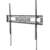 StarTech Sienos laikiklis FPWFXB1 60 '- 100' "'