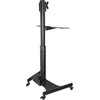 Laikiklis StarTech WKSTNCART/MOBILE WORKSTATION CART