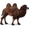 Collecta Figūrėlė Dvikupris kupranugaris (L)