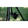 Stovas - Fotopro X-go Chameleon E2 10kg Apkrova 43.7-158.5cm Aukštis