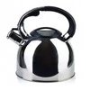 Allesken STEN Sidabrinis Virdulys 2,5L