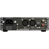 Lake People G105 MKII -Stiprintuvas ausines