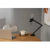Laikiklis InLine® Planšetė holder with table clamp, iki 12.9", juodas