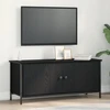 TV staliukas Televizoriaus spintelė 100 x 35 x 45 cm Juodas ąžuolas
