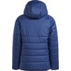 Adidas Tiro 24 Winter Jr IR9501 striukė