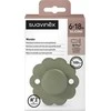 Suavinex - 308392-PHYSIOLOGICAL čiulptukas SX PRO silikoninis/6-18M/HGREEN/