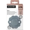 Suavinex - 308393-PHYSIOLOGICAL čiulptukas SX PRO silikoninis/6-18m/LAKE/WONDER