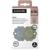 Suavinex SUAVINEX - 308408-SMOCZEK FIZJOLOGICZNY SX PRO SILIKONOWY 2SZT/6-18M/LAKE-Žalias/WONDER