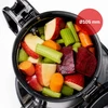 Sulčiaspaudė lėtaeigė Webber Sulčiaspaudė vaisių warzyw SJ400 200W (05SJ400)