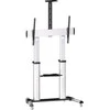 Laikiklis Sunne grindų stovas S22 60'' - 100''
