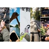 SunnyLife lankstus kaklo laikiklis, skirtas Dji Osmo Nano / Dji Osmo Action 6 / Zj-196-d (SB12360)