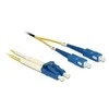 Šviesolaidinis delock Patchcord LC - LC Multimode OS2 09/125 µm, 2 m (84610)