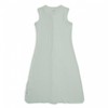 SwaddleMe Lodger Hopper Solid sleeveless sleeping bag Peppermint 50/62 HPS 104_50/62