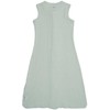 SwaddleMe Lodger Hopper Solid sleeveless sleeping bag Peppermint 50/62 HPS 104_50/62