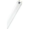 Osram 18W lempa LUMILUX T8, G13, 2700K, 604mm