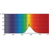 Philips TL-D Colored liuminescencinė linijinė lempa T8 G13 36W 1580lm (871150072751040)