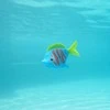 Swims Plaukimai – Rainbow Reef Beta Fish – (6072503)