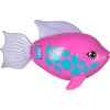 Swims Plaukimai – Rainbow Reef Fish – Rainbow Fish (6072523)