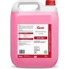 Swish E35 Gelio preparatas sanitarinių patalpų valymui 5 l