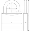 Pakabinama spyna Abus 70IB/50, 55 x 76 mm