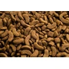 Synteza Club 4 Paws Adult Medium Breeds sausas Maistas šunims, 2kg