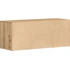 TV staliukas Televizoriaus spintelė 100 x 35 x 40 cm artisano ąžuolo