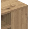 TV staliukas Televizoriaus spintelė 100 x 30 x 26,5 cm artisian oak