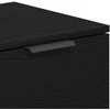 TV staliukas Televizoriaus spintelė 102 x 32 x 35.5 cm Juodas ąžuolas