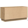 TV staliukas Televizoriaus spintelė 100 x 38 x 49 cm Amatininkų ąžuolas